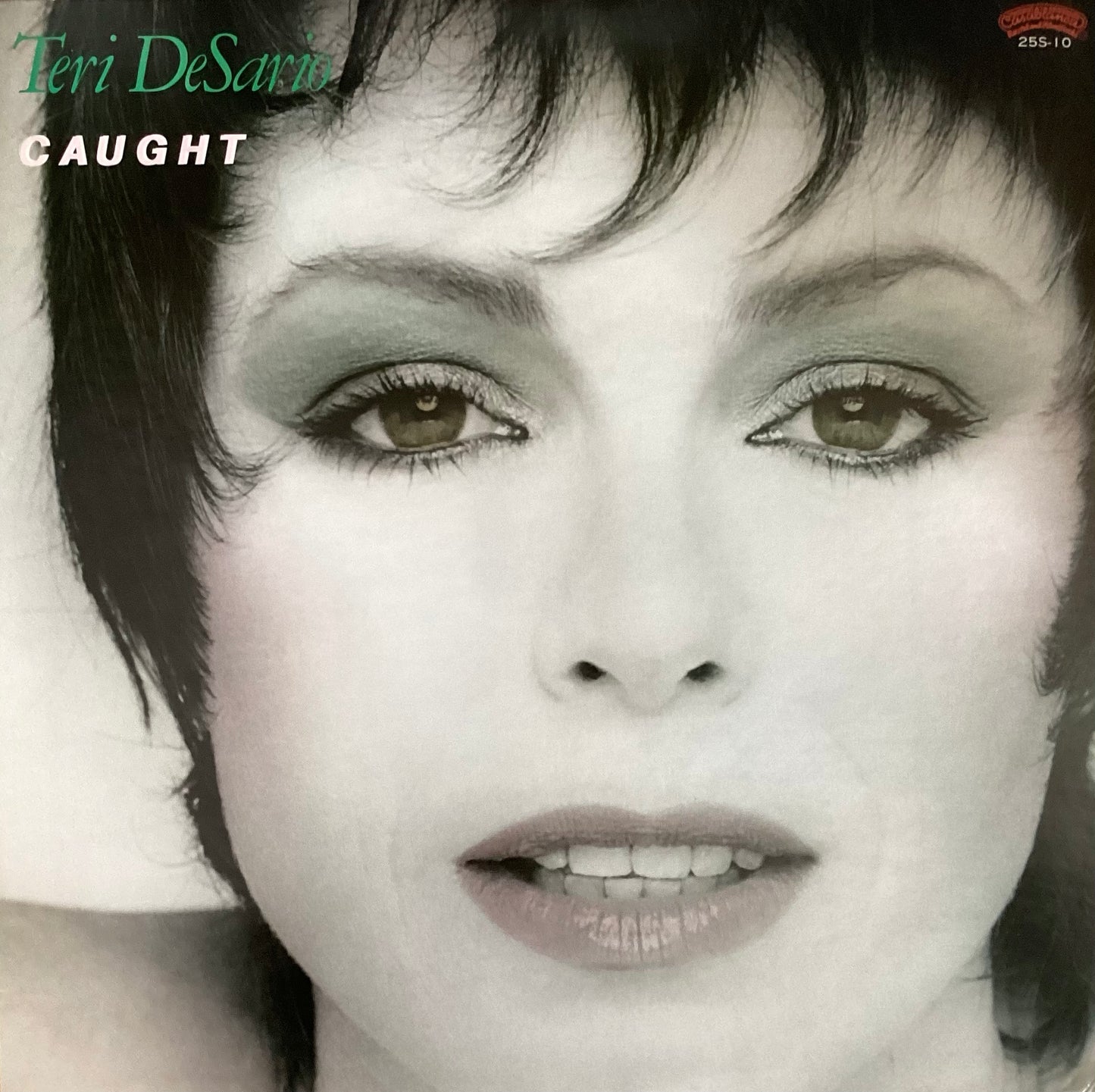 Teri DeSario – Caught, 1980 Japan Casablanca – 25S-10 Vinyl LP + Insert