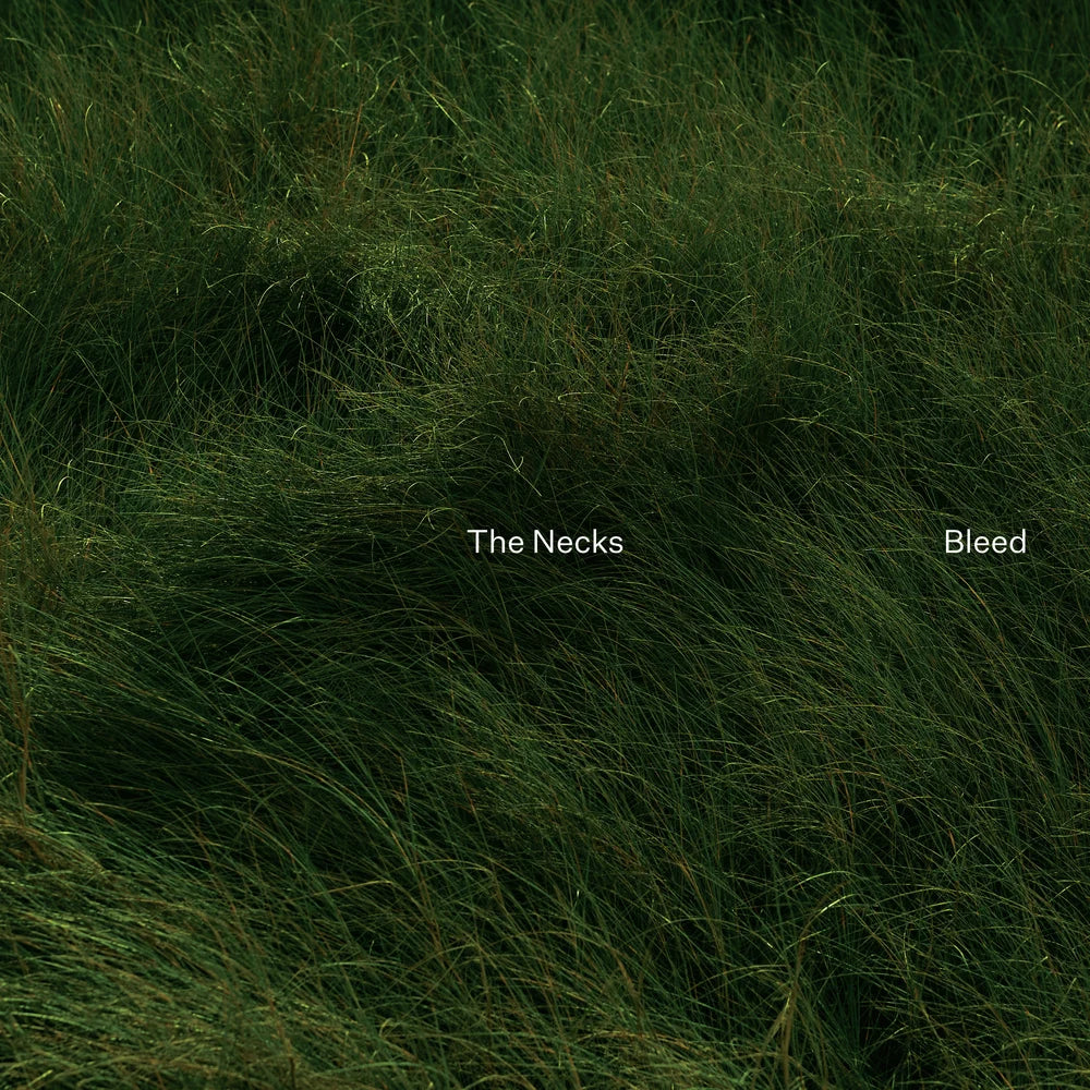 The Necks – Bleed, Vinyl LP