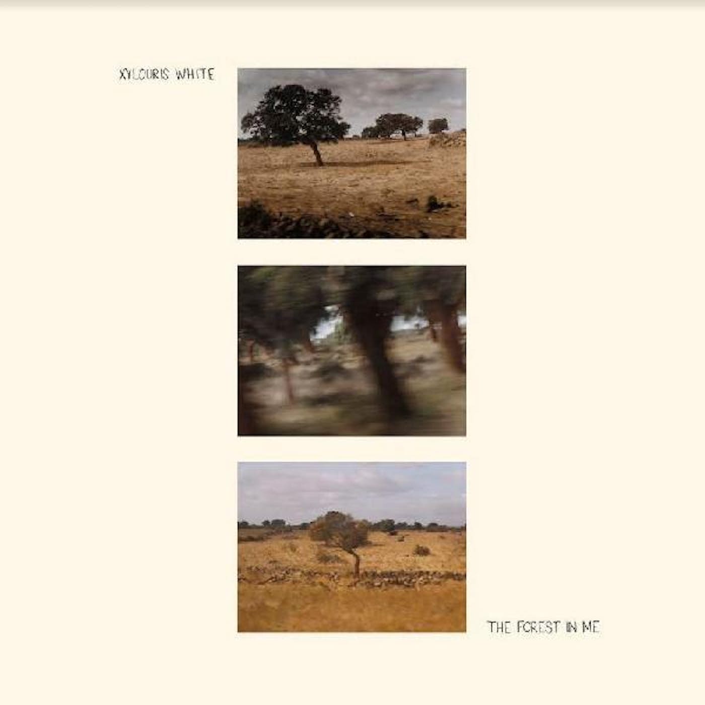 The Forest In Me vinyl LP by Xylouris White, collectible vinyl experimental folk album, abstract forest cover artwork