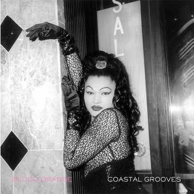 Blood Orange – Coastal Grooves, Vinyl LP