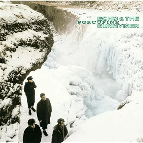 cover art for Porcupine vinyl LP by Echo & The Bunnymen