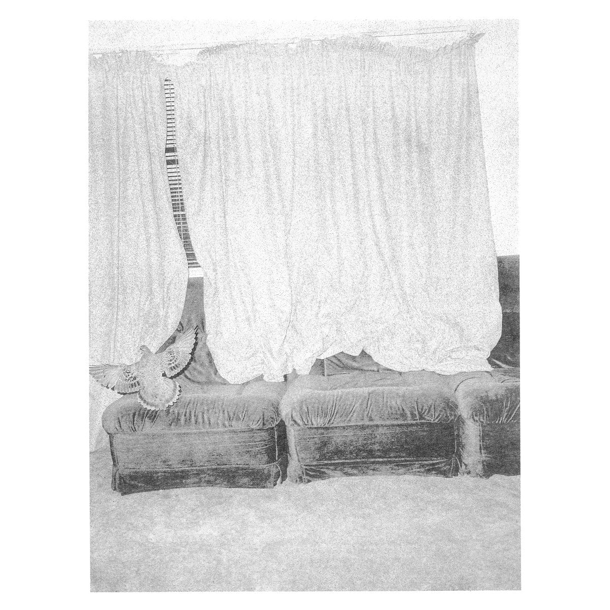 Helen Franzmann & Nick Huggins - Public Holidays at You Yangs Regional Park, Vinyl LP