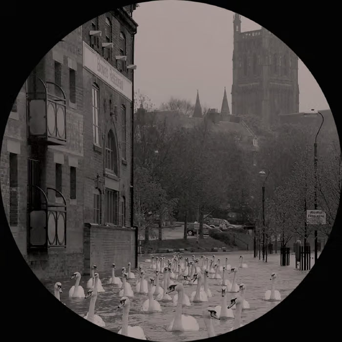 Hence Therefore - Bad Hope / Bad Despair, 12" Vinyl