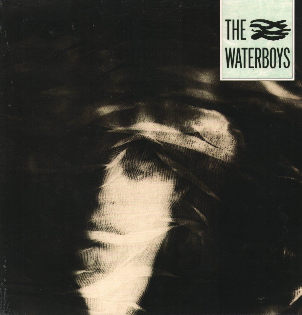 Self-Titled vinyl by The Waterboys, folk rock collectible vinyl, abstract cover with a blurred portrait photo