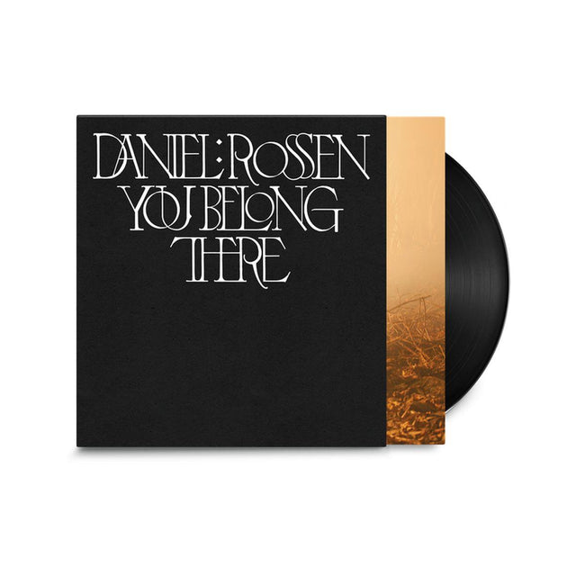 Daniel Rossen You Belong There vinyl LP, abstract landscape cover, indie folk album cover