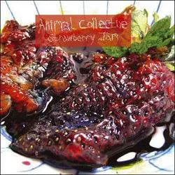 Animal Collective – Strawberry Jam, Vinyl 2xLP