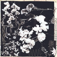 Ergo Phizmiz – Two Quartets, Discrepant – CREP11, Ltd. Ed. Vinyl LP