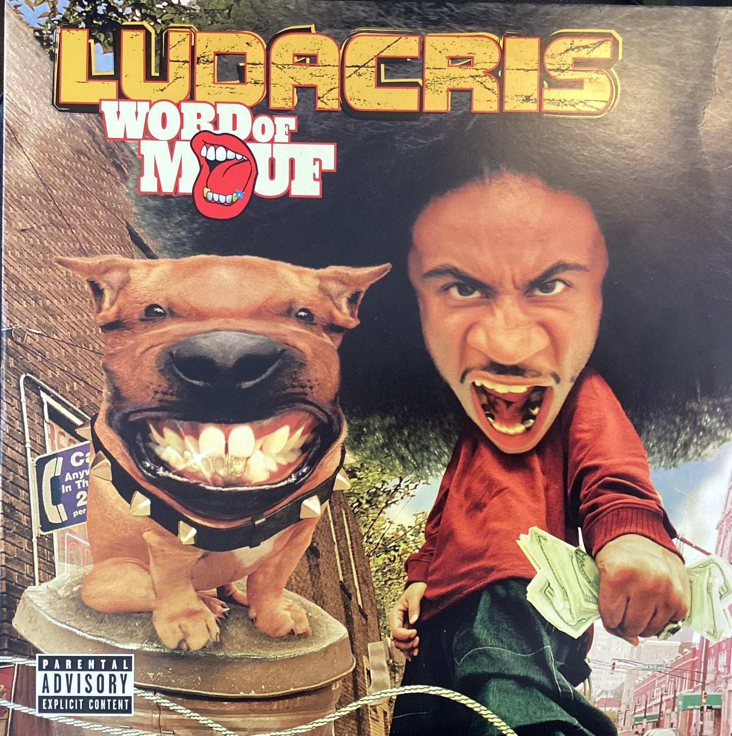 Ludacris – Word Of Mouf, US 2001 Def Jam South – 314 586 446-1, Vinyl 2xLP