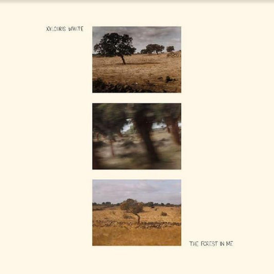 The Forest In Me vinyl LP by Xylouris White, collectible vinyl experimental folk album, abstract forest cover artwork