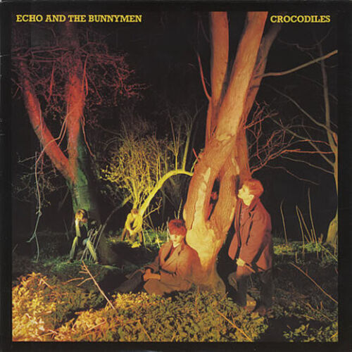 cover art for Crocodiles vinyl LP by Echo And The Bunnymen
