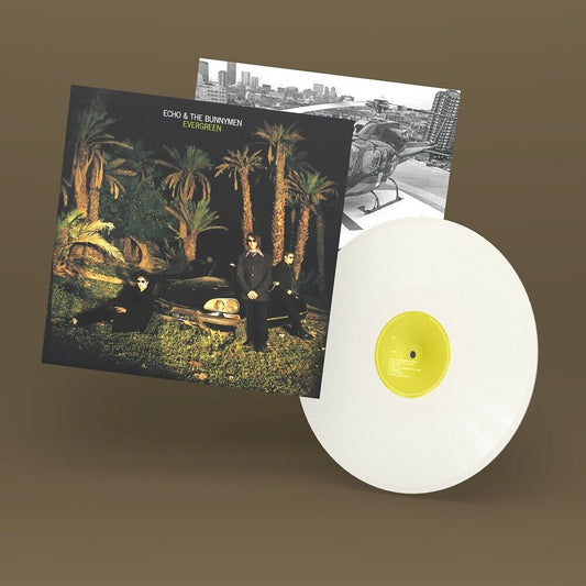 cover art for Evergreen white vinyl LP by Echo & The Bunnymen
