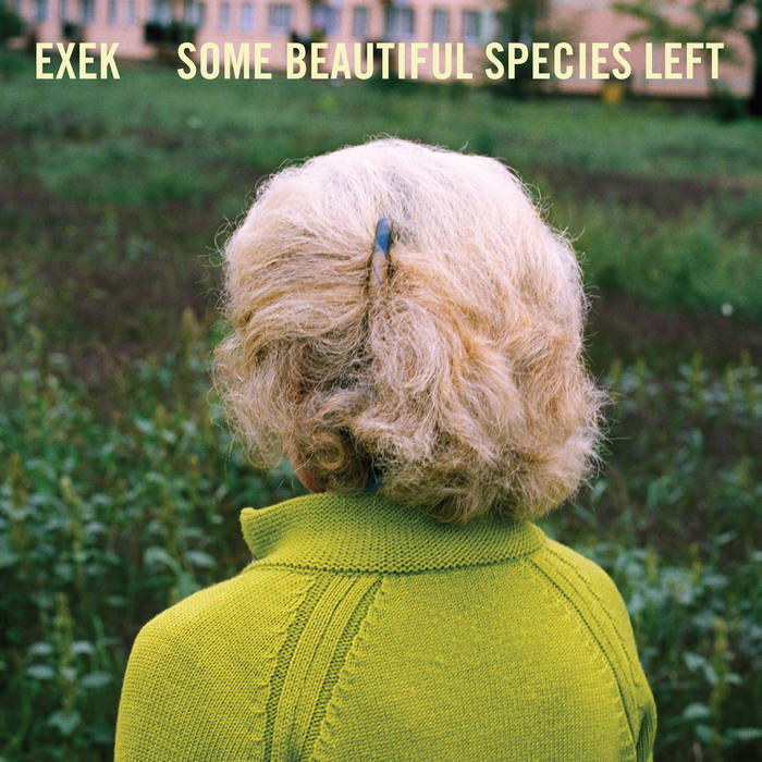 cover art of Some Beautiful Species Left vinyl LP by EXEK