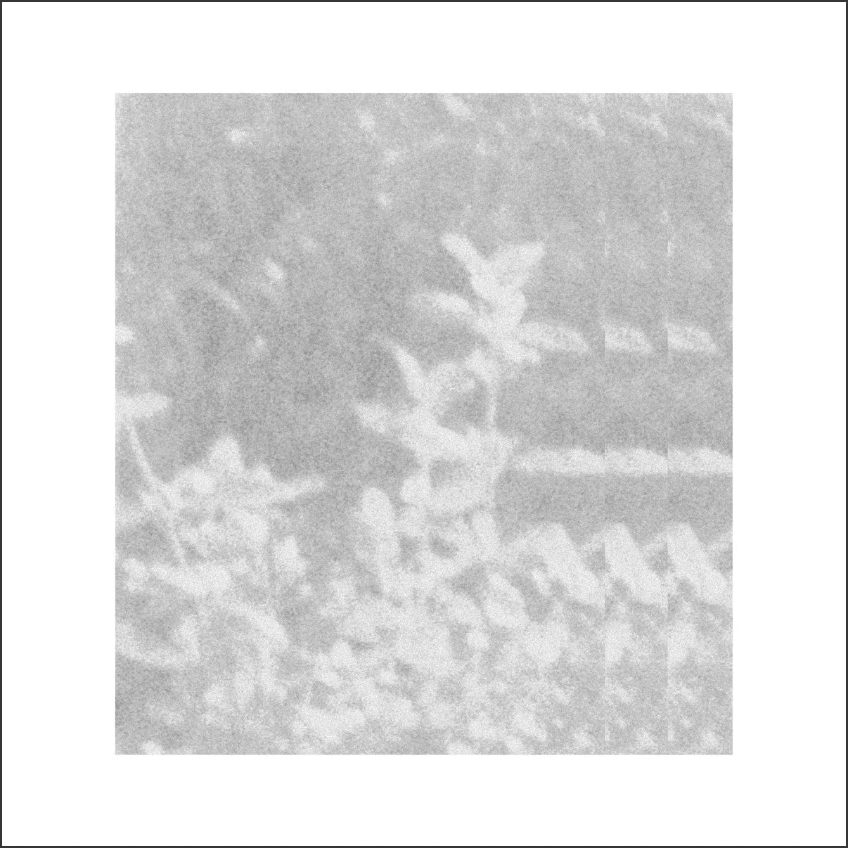 Glen Rey. - of that which we cannot speak, Vinyl LP