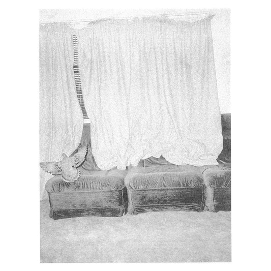 Helen Franzmann & Nick Huggins - Public Holidays at You Yangs Regional Park, Vinyl LP