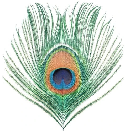 XTC – Apple Venus Vol 1, Vinyl LP