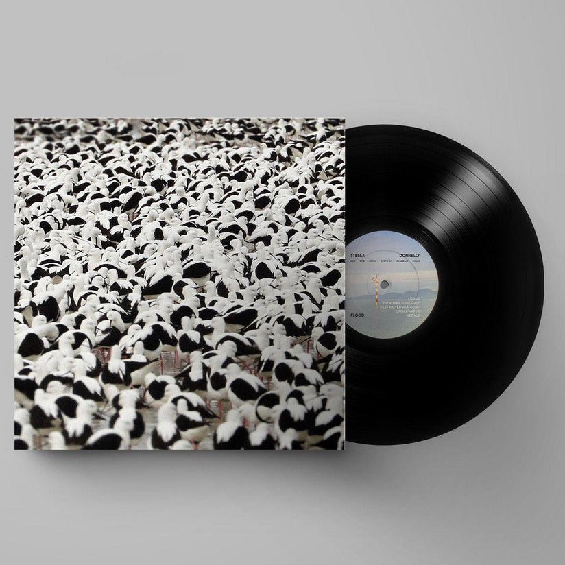 Flood vinyl by Stella Donnelly, indie rock collectible vinyl, cover showing a large flock of water birds